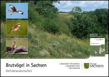 Vorschaubild zum Artikel Brutvögel in Sachsen - Gefildelandschaften