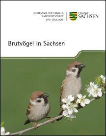 Brutvögel in Sachsen