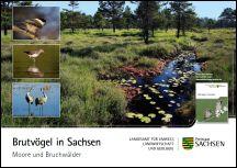 Vorschaubild zum Artikel Brutvögel in Sachsen - Moore und Bruchwälder