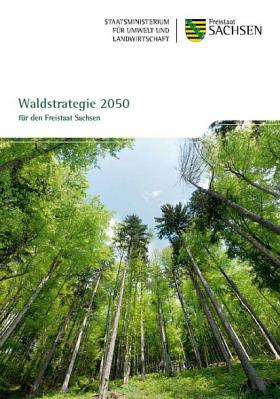 Vorschaubild zum Artikel Waldstrategie 2050