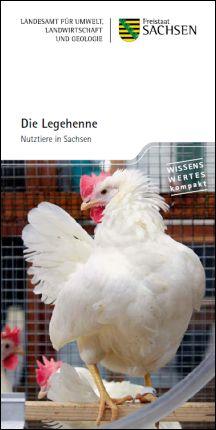 Die Legehenne