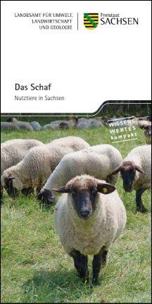 Vorschaubild zum Artikel Das Schaf
