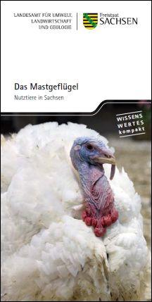 Das Mastgeflügel