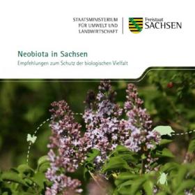 Vorschaubild zum Artikel Neobiota in Sachsen