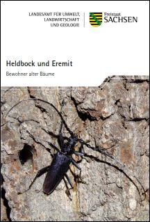 Heldbock und Eremit