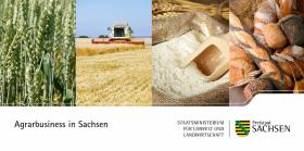Agrarbusiness in Sachsen