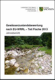 Vorschaubild zum Artikel Gewässerzustandsbewertung nach EU-WRRL – Teil Fische 2013