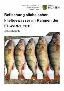 Vorschaubild zum Artikel Befischung sächsischer Fließgewässer im Rahmen der EU-WRRL