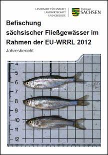 Vorschaubild zum Artikel Befischung sächsischer Fließgewässer im Rahmen der EU-WRRL