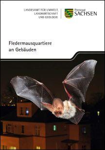 Fledermausquartiere an Gebäuden