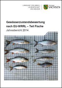 Vorschaubild zum Artikel Gewässerzustandsbewertung nach EU-WRRL - Teil Fische 2014