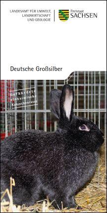 Vorschaubild zum Artikel Deutsche Großsilber