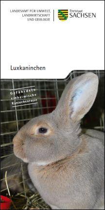 Luxkaninchen