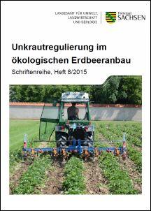 Unkrautregulierung im ökologischen Erdbeeranbau