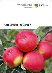 Apfelanbau im Garten