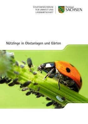 Nützlinge in Obstanlagen und Gärten