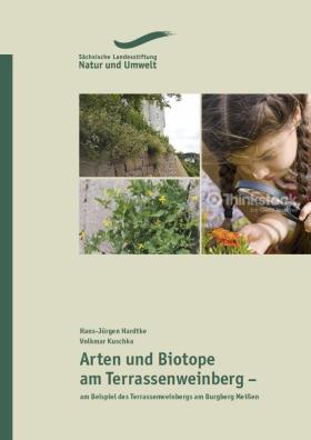 Vorschaubild zum Artikel Arten und Biotope am Terrassenweinberg