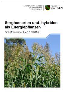Sorghumarten und -hybriden als Energiepflanzen