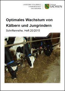 Optimales Wachstum von Kälbern und Jungrindern