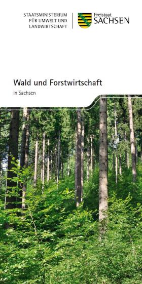 Vorschaubild zum Artikel Wald und Forstwirtschaft