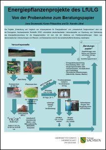 Vorschaubild zum Artikel Energiepflanzenprojekte des LfULG