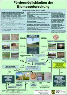 Fördermöglichkeiten der Biomasseforschung