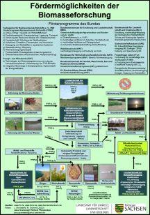 Vorschaubild zum Artikel Fördermöglichkeiten der Biomasseforschung