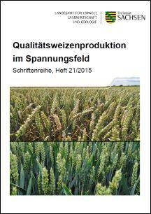 Qualitätsweizenproduktion im Spannungsfeld