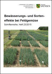 Bewässerungs- und Sorteneffekte bei Feldgemüse