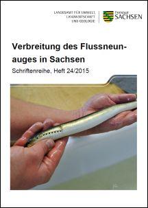 Verbreitung des Flussneunauges in Sachsen