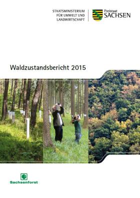 Waldzustandsbericht 2015