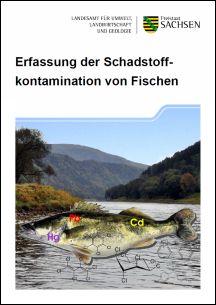 Erfassung der Schadstoffkontamination von Fischen