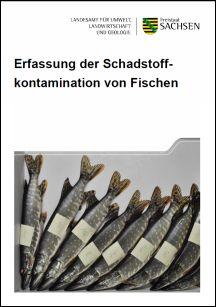 Erfassung der Schadstoffkontamination von Fischen 2013
