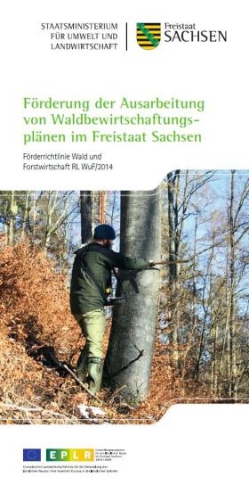 Vorschaubild zum Artikel Förderung der Ausarbeitung von Waldbewirtschaftungsplänen im Freistaat Sachsen