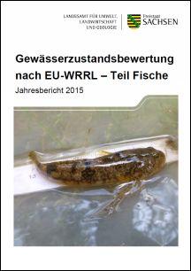 Vorschaubild zum Artikel Gewässerzustandsbewertung nach EU-WRRL – Teil Fische 2015