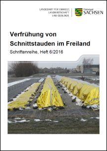 Vorschaubild zum Artikel Verfrühung von Schnittstauden im Freiland