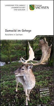 Damwild im Gehege