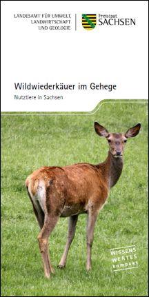 Wildwiederkäuer im Gehege