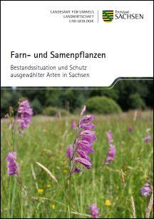 Farn- und Samenpflanzen