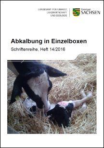 Abkalbung in Einzelboxen