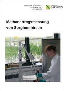 Vorschaubild zum Artikel Methanertragsmessung von Sorghumhirsen