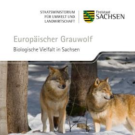 Europäischer Grauwolf - Heft und Postkarte