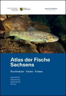 Vorschaubild zum Artikel Atlas der Fische Sachsens