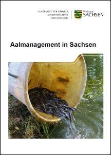 Aalmanagement in Sachsen