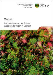 Vorschaubild zum Artikel Moose