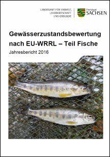 Vorschaubild zum Artikel Gewässerzustandsbewertung nach EU-WRRL – Teil Fische 2016