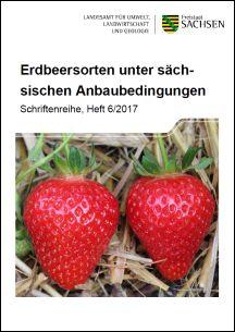 Vorschaubild zum Artikel Erdbeersorten unter sächsischen Anbaubedingungen