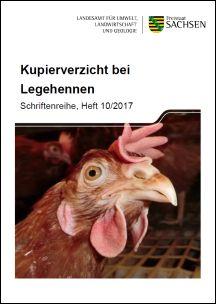 Kupierverzicht bei Legehennen