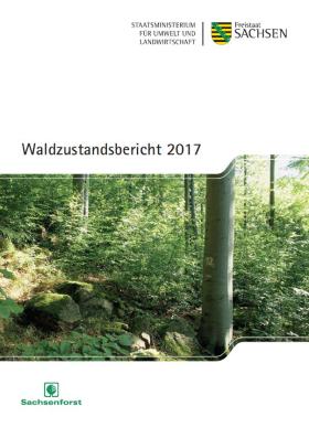 Vorschaubild zum Artikel Waldzustandsbericht 2017