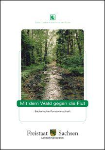 Vorschaubild zum Artikel Mit dem Wald gegen die Flut